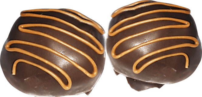 nutri bite dark